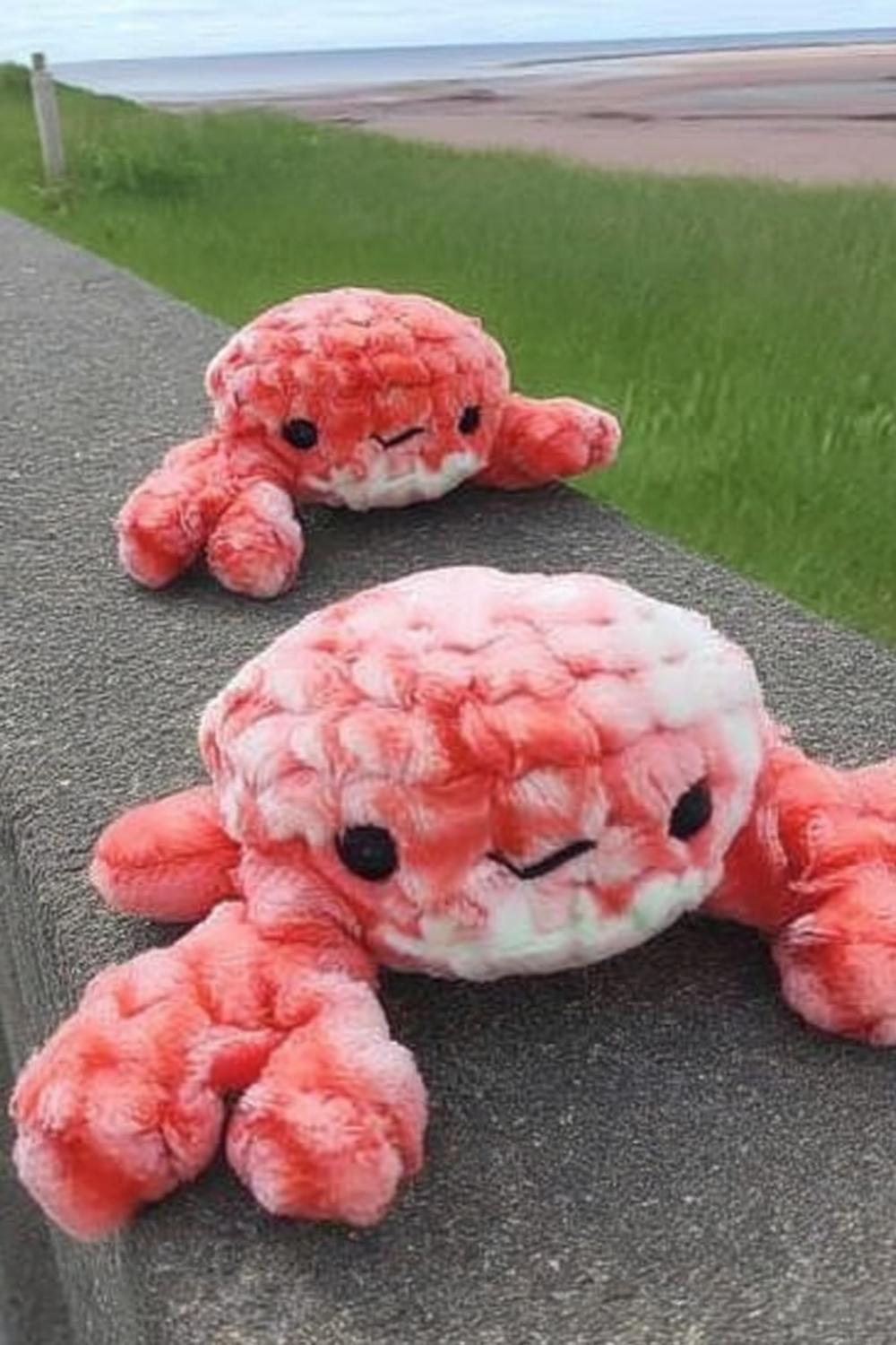 Coral Octopi Outdoors