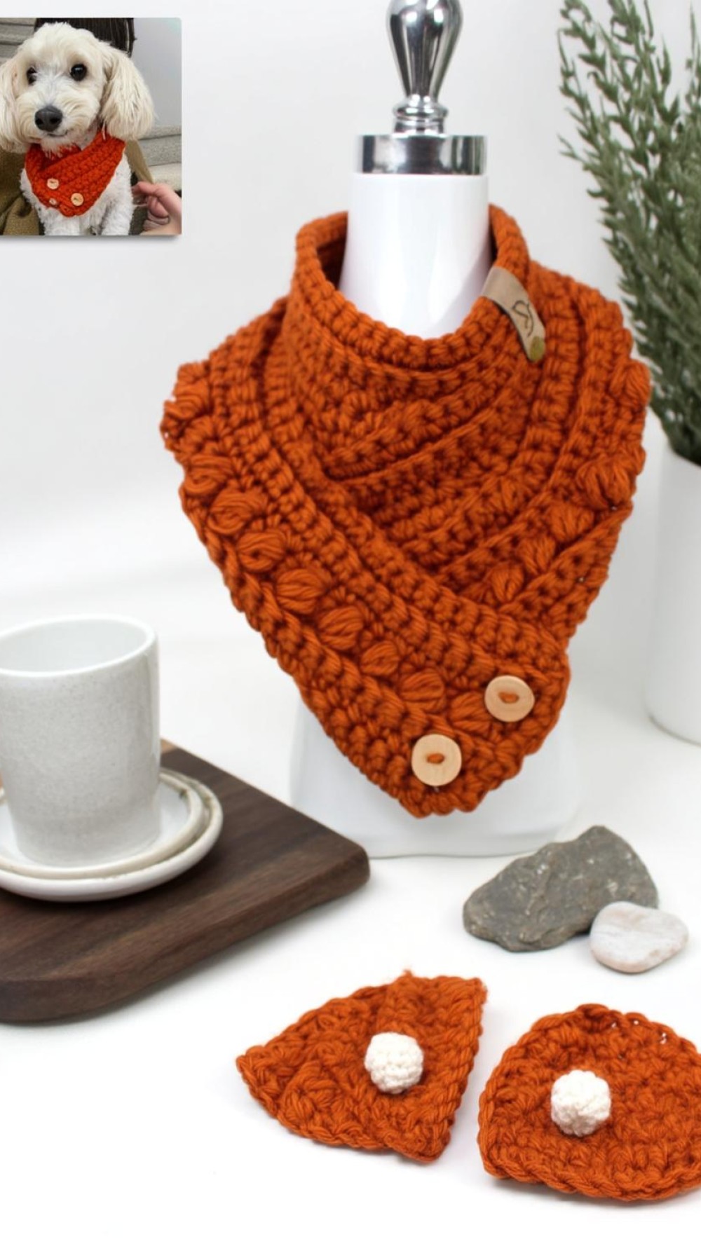 Cozy Neck Warmer