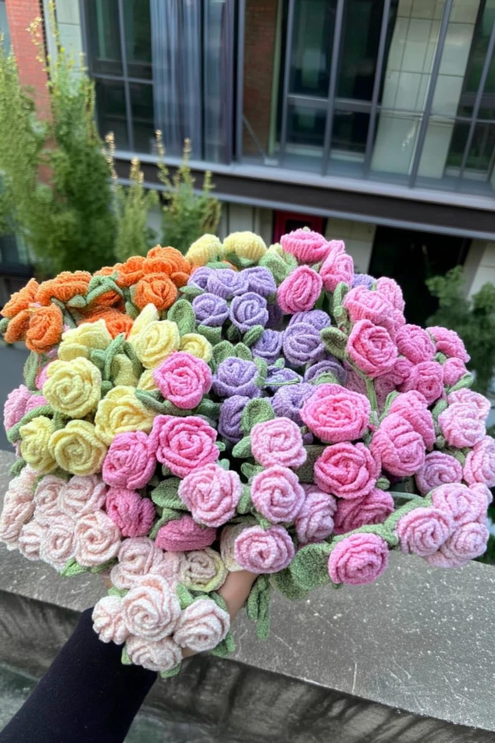 Massive Rose Collection