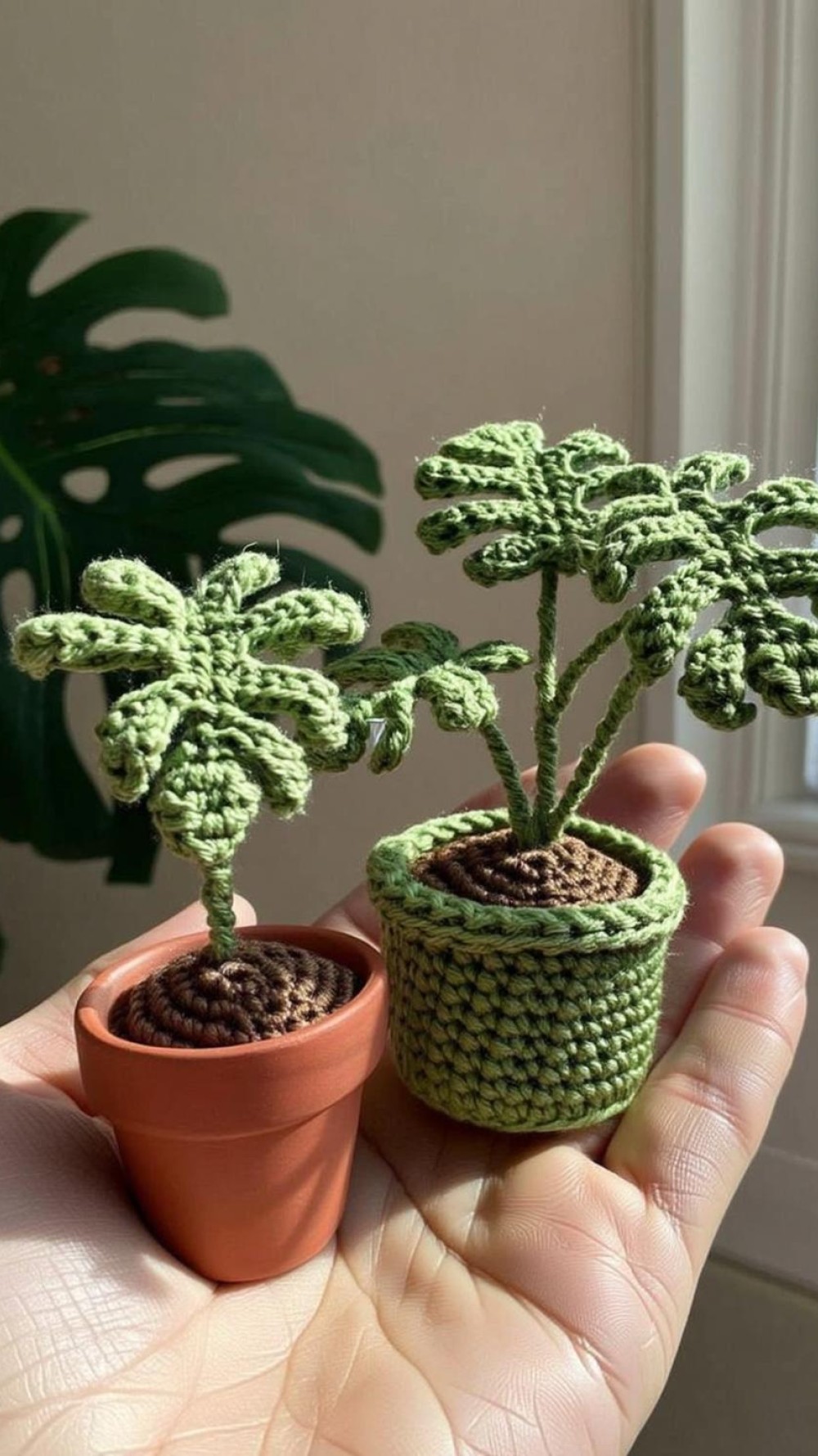 Miniature Potted Plants