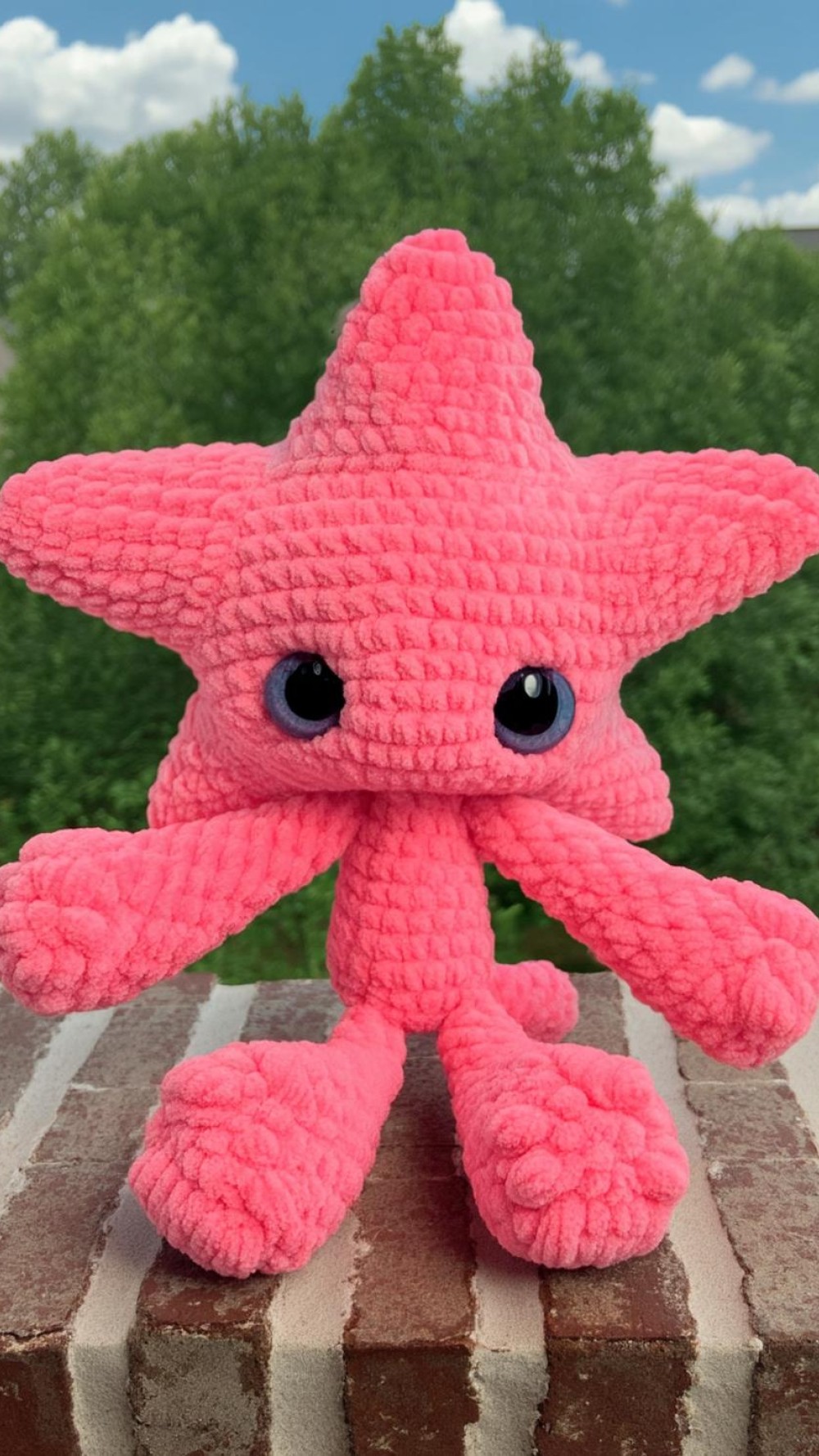 Vibrant Pink Starfish